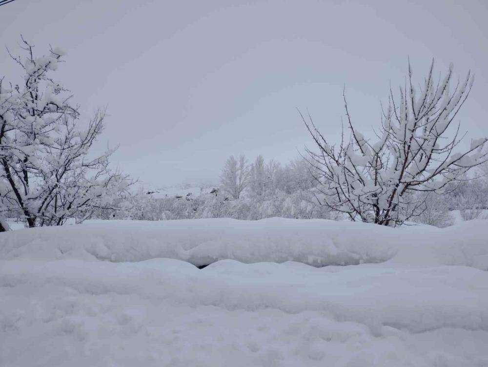 Varto’da 99 köy ve 50 mezranın yolu ulaşıma kapandı