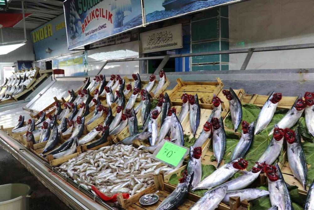 Balık bollaşınca fiyatlar 50 TL’ye geriledi