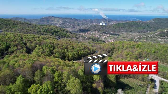 Zonguldak ormanlarında ilkbahar güzelliği havadan görüntülendi